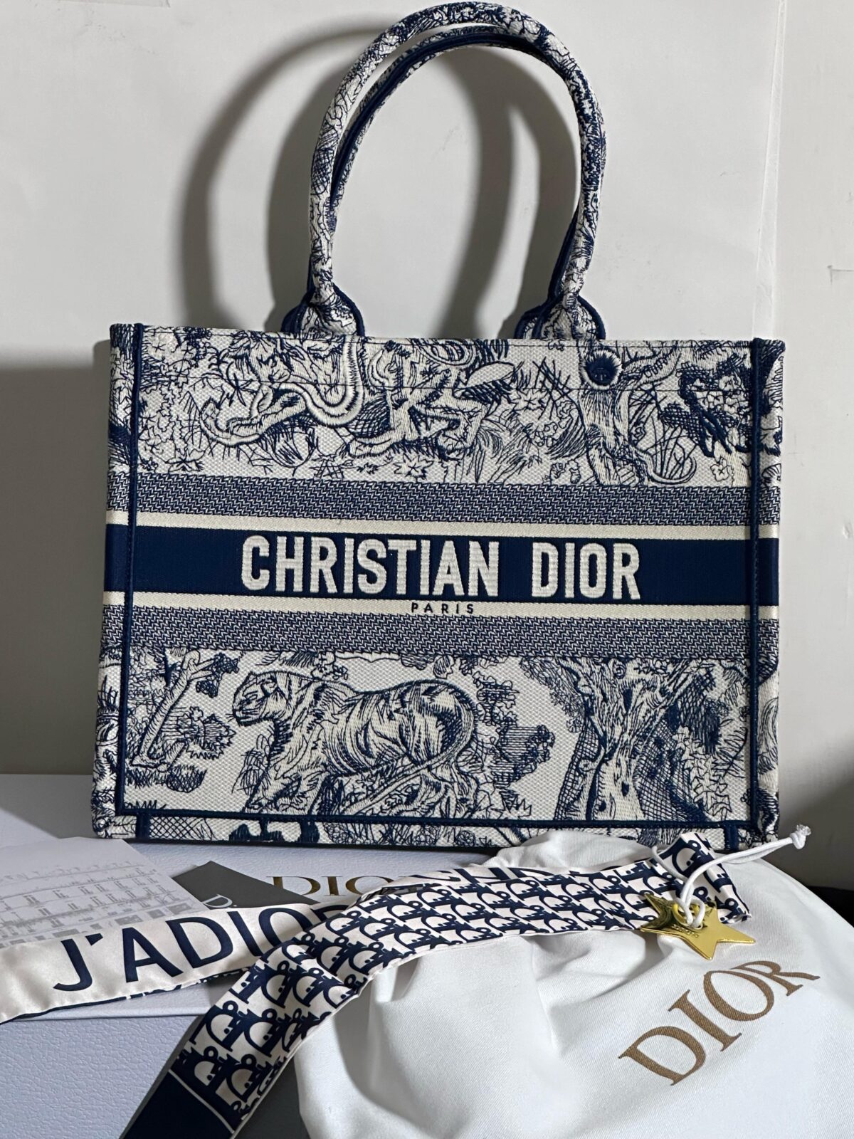 Dior Book Tote
