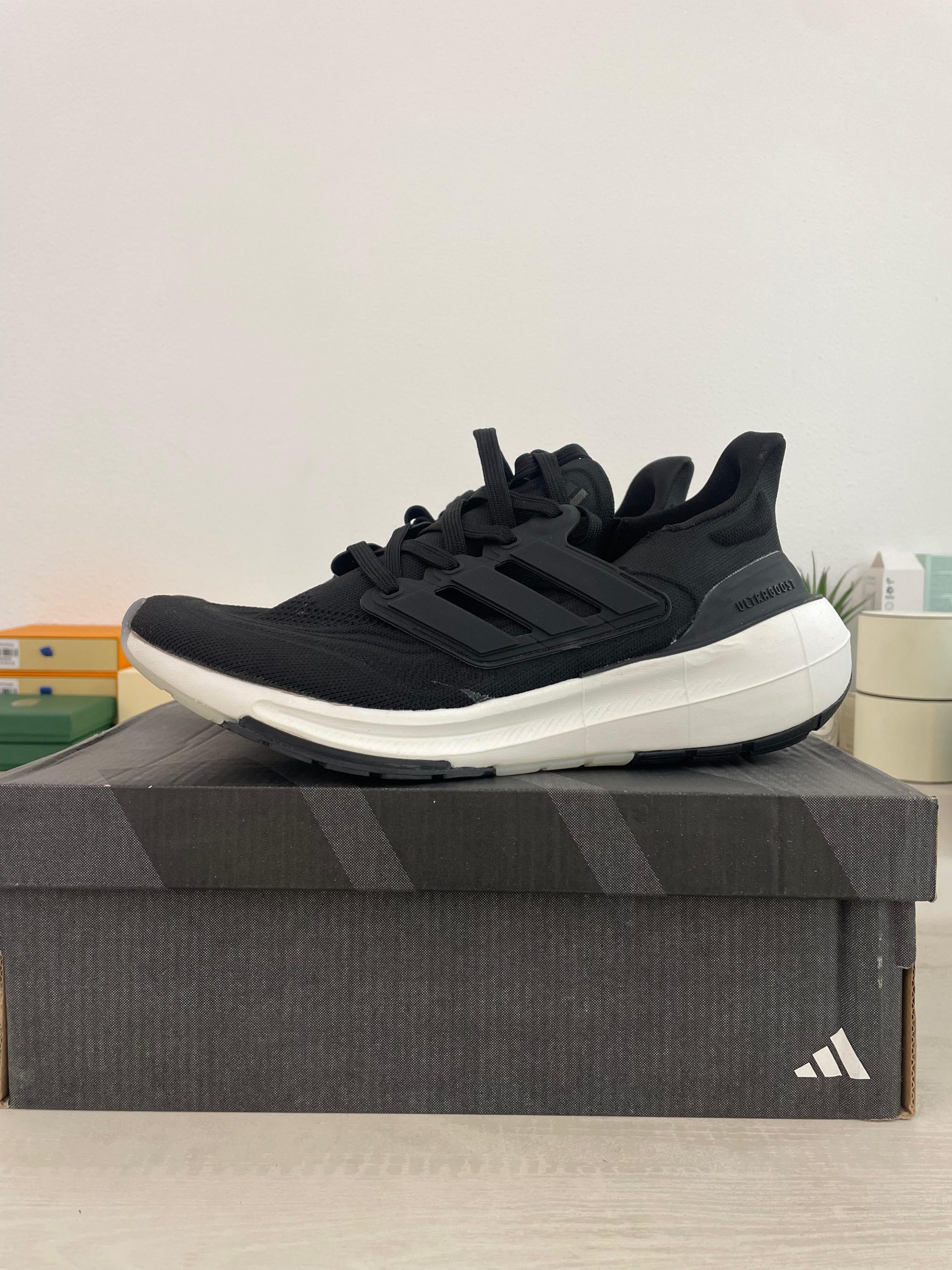 WhatsApp Image 2026-01-07 at 4.59.46 PM